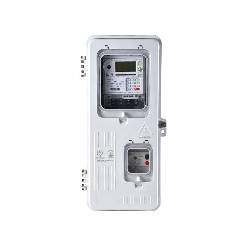 Boîte de compteur électrique monophasé à double fenêtre FUTURISE SMC Anti-corrosion pour compteur de puissance résidentiel